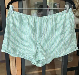 Aerie striped boxers shorts pajamas pinstriped mint flannel elastic waistband thumbnail 1