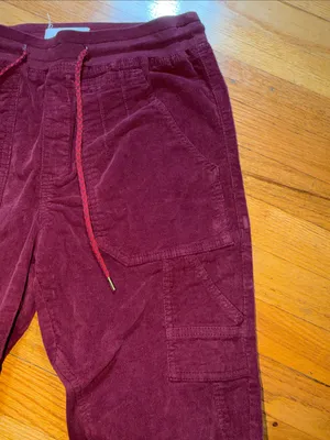 Anthropologie Burgundy Drawstring Jogger Pants thumbnail 9