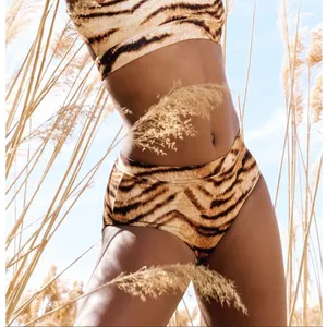 Tiger Friday Go2 Briefs Womens Adult Small Tiger Print Dance Briefs High Waisted thumbnail 3