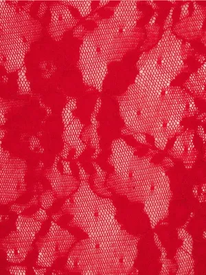 Skims (G15) Stretch Lace Teddy 🔥🔥 | Color Cranberry | Size Large thumbnail 5