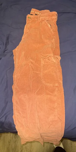 American Eagle Cargo Pants thumbnail 1