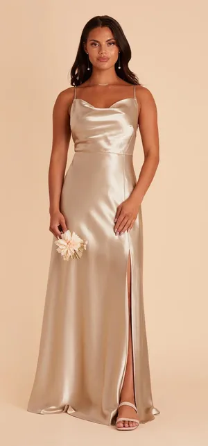 Birdy Grey Lisa Dress in Neutral Champagne thumbnail 1