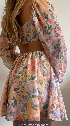 Showpo Dress thumbnail 4