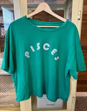 Aerie Pisces Crop T-shirt thumbnail 2