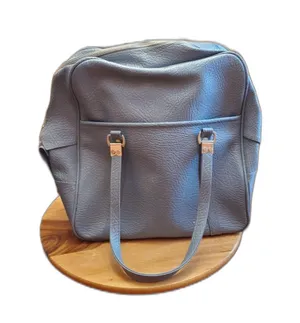 Vintage Sears, Roebuck and Company Luggage Bag Carry On Travel Bag Tote Baby Blu thumbnail 1