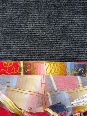 Free People Wrangler x Lainey Wilson Rodeo Ben Stripe Flare Jean 27 x 33 Western thumbnail 8