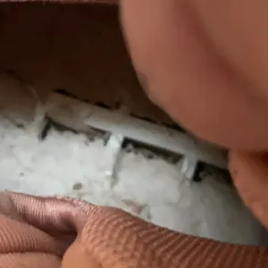 Steve Madden Pink Sneakers thumbnail 7