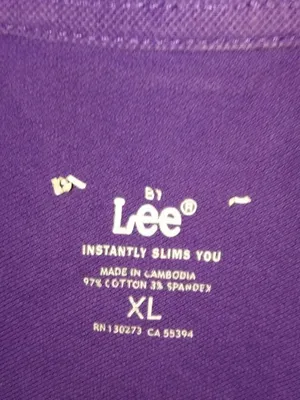 Lee Riders XL Fitted Short Sleeved Slimming Polo Top in Purple thumbnail 2