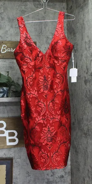 Siena Womens V-Neck Embroidered-Mesh Sleeveless Dress SATP1831 Red / Black 14 thumbnail 1