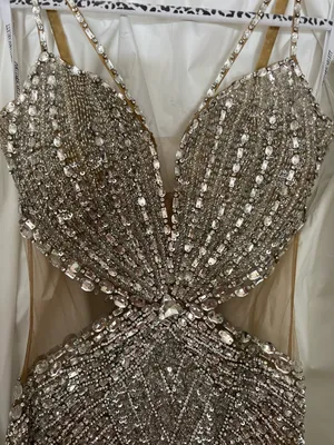 Portia and Scarlett Gold/Silver Gown thumbnail 4