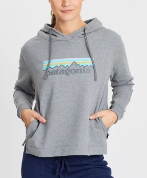 Patagonia -859 Pastel Logo Uprisal‎ Hoddie - grey - Medium thumbnail 1