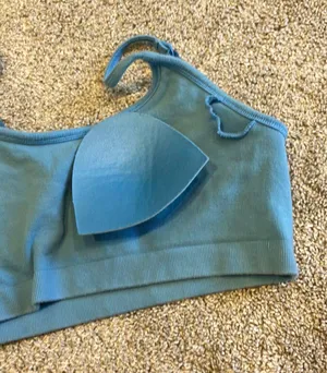 Aerie Blue Bra Top thumbnail 3