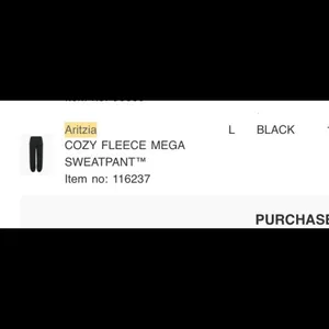 Aritzia mega fit joggers thumbnail 10