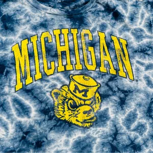 The Original Retro Brand U of Michigan Wolverines Tie Dye Crop Graphic T-shirt thumbnail 2