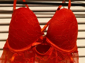 TJ Maxx teddy lingerie thumbnail 4