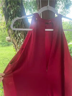 Fantasist Sleeveless Red Shift Dress with High Neck thumbnail 4