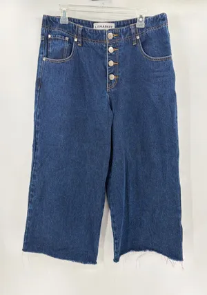L.F. Markey indie women’s button fly y2k 2010s Blue Wide-Leg Crop Jeans size 31 thumbnail 1