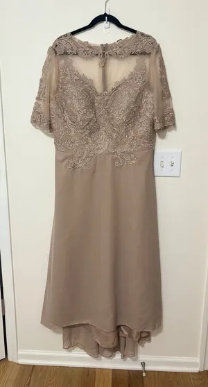 Grace Gallery Formal Dress Lace Bodice‎ Special Occasion Gown US 16 thumbnail 1