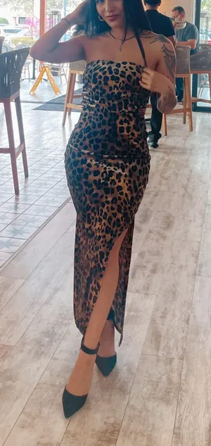 Wild Fable Cheetah Print Dress thumbnail 1