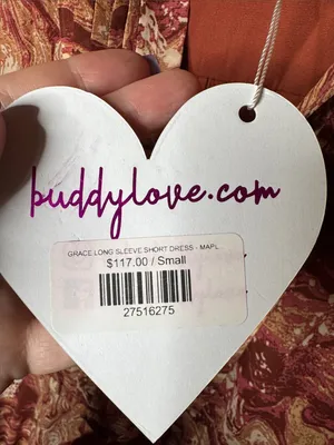 NWT Buddy Love Grace Maple Sugar Ruffle Long Sleeve Mini Dress Size Small thumbnail 6