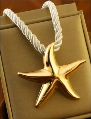 SheIn 1pc Beach Style Exaggerated Starfish Pendant Chunky Rope Necklace thumbnail 1