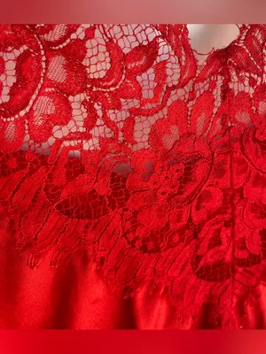 Lady Cameo Vintage red lace camisole sexy nighty tank mini dress chemise layer thumbnail 4
