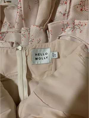 Hello Molly Dress thumbnail 4