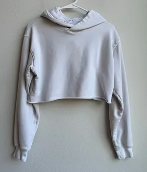 Aritzia Tna Cropped Light Grey Hoodie Sweatshirt Size Small Streetwear Athletic thumbnail 1