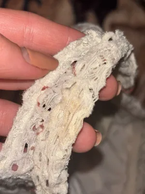 Mudd White Bralette thumbnail 3