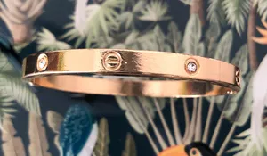 Gold Hinge Bracelet thumbnail 1
