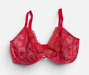 Victoria's Secret Lace Bra thumbnail 1