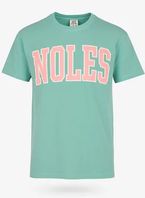 Comfort Colors NOLES Mint Green Pink Graphic Women’s Small FSU Seminoles Shirt thumbnail 1