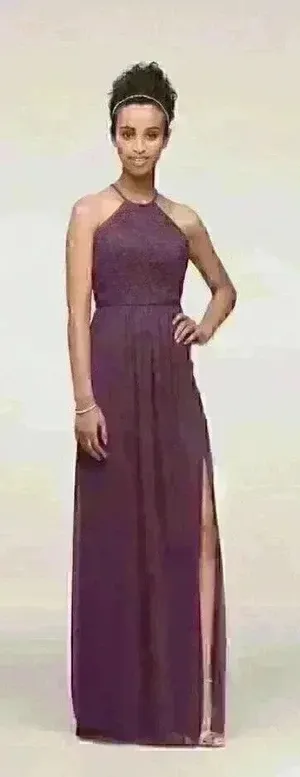 NWT David's Bridal F19608 Plum Long Lace Mesh High Neck Sz 2‎ thumbnail 1