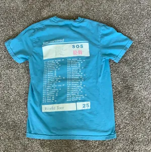 Comfort Colors Lumineers Light Blue 2025 Concert T-Shirt thumbnail 2
