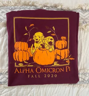 Alpha Omicron Pi Shirt (sorority) Red thumbnail 4