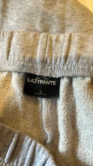 PacSun Gray  Sweatpants thumbnail 3