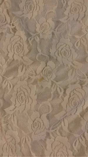 Wall Flower Lace Dress thumbnail 5