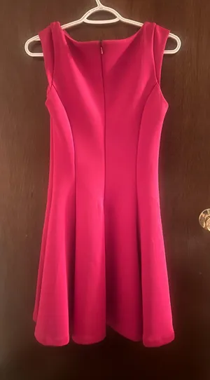S Los Angeles Pink V-Neck Flare Dress thumbnail 3
