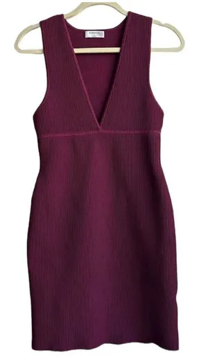 ✨Aritzia Babaton
Deep V Dress✨ thumbnail 1