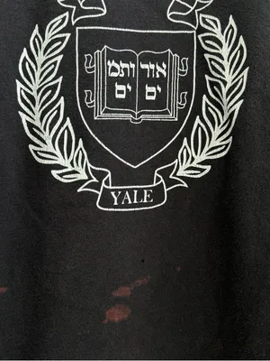 Hennes & Mauritz Yale Off the Shoulder Tee Distressed College Shirt Grunge thumbnail 4
