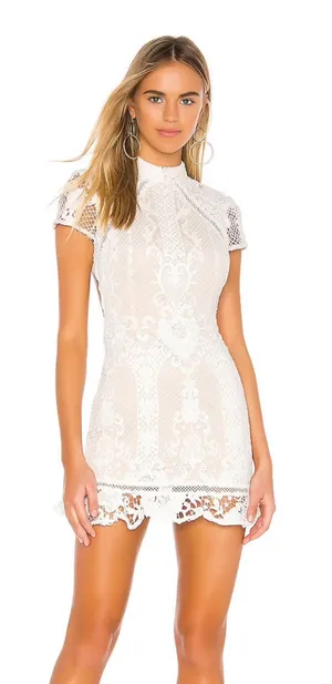 superdown Revolve Mini Dress thumbnail 1