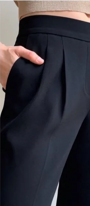 Aritzia Babaton Black Cohen Pleat Front Pants size 8 thumbnail 1