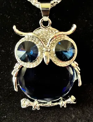 Elegant Blue Owl Pendant Necklace thumbnail 1