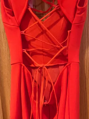 Hello Molly Take the Reigns V-Neck Lace-Up Back Ruffle Mini Dress Size XS 2 thumbnail 16