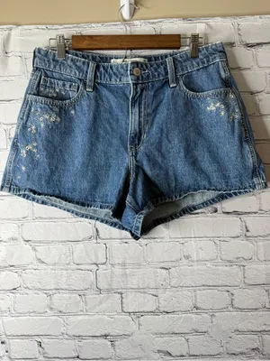 Hollister Blue Denim Women's Embroidered Shorts size 10 thumbnail 2