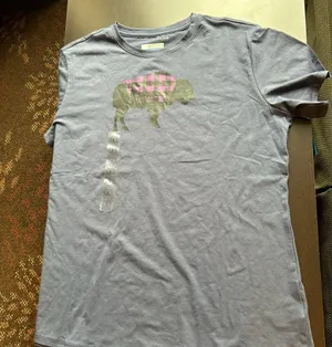 NWT The North Face T Shirt L thumbnail 7