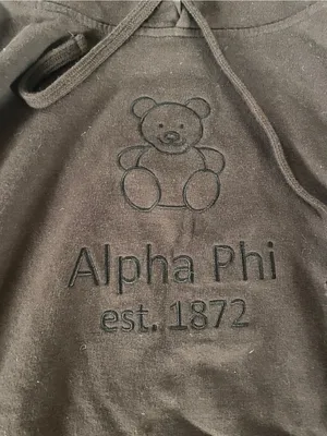 Brown Hooded Sweatshirt Alpha Phi with Teddy Logo Size M thumbnail 2