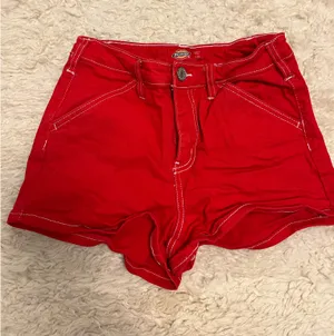 Dickies Shorts Women’s thumbnail 5