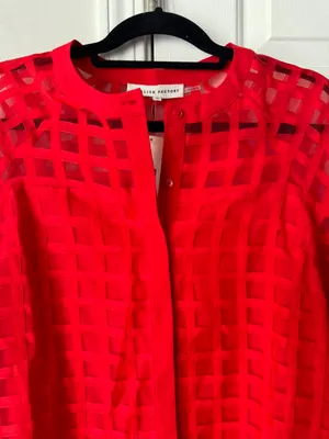 Anthropologie English Factory Organza Long Sleeve Mini Dress, Size M thumbnail 4