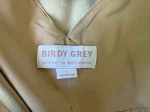 Birdy Grey Champagne Satin Dress thumbnail 10